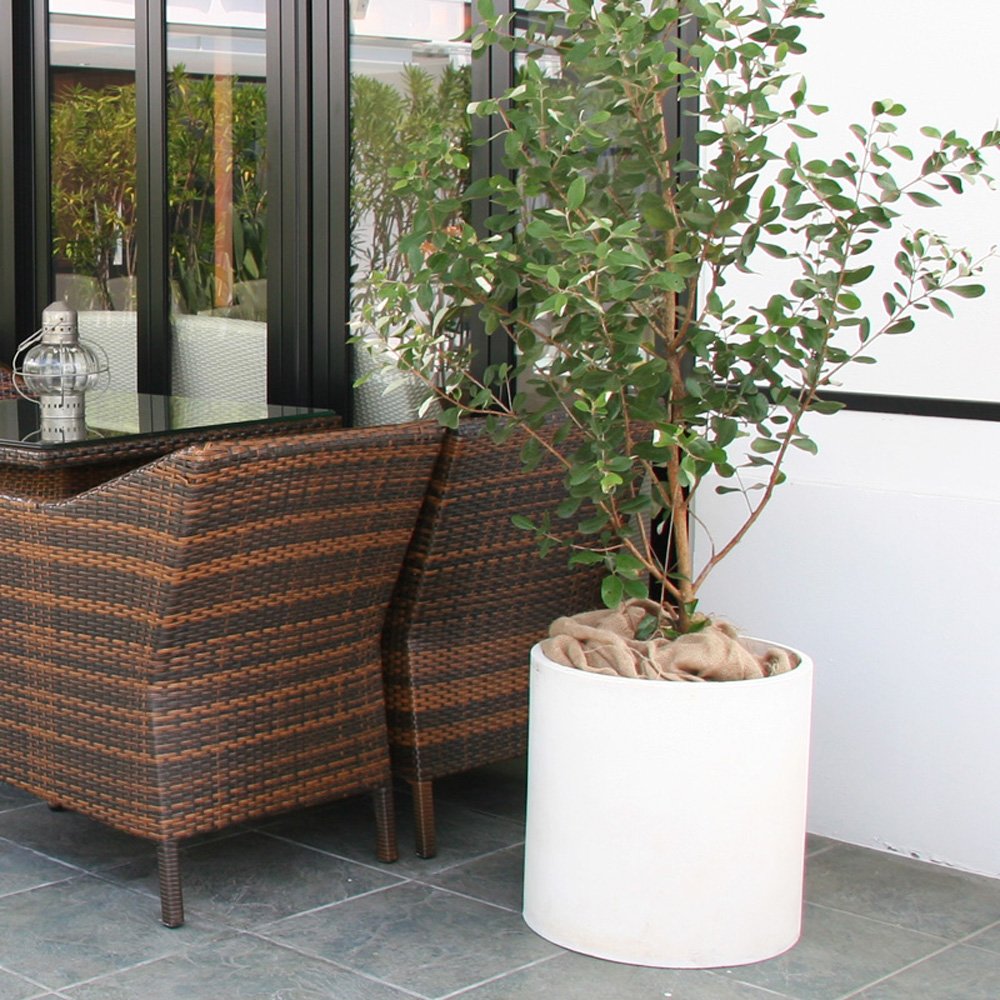 Amazon.co.jp: 植木鉢 大型 ファイバークレイプロ アルファ シリンダー